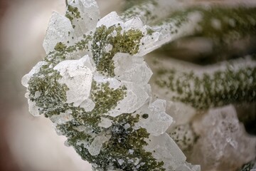 The sun's rays. Glare, bokeh- sun illumination