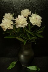 Still life- peony flowers in a clay vase on a dark background