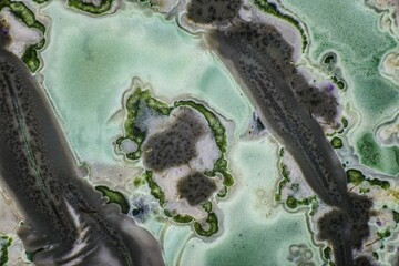 Microphotograph of a polished tinguaite slice. Scale of shooting 10X. Frame width 6 mm