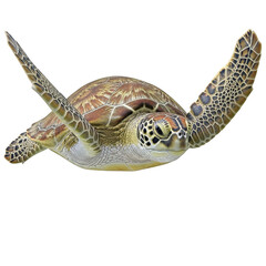 Majestic sea turtle gliding through ocean waters