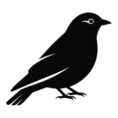 Obraz premium Minimalist Black Bird Silhouette Vector Icon Design