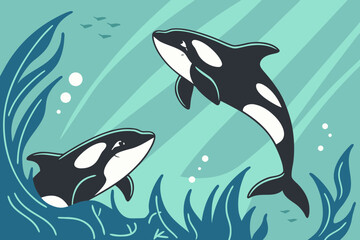 Two Orca Killer Whales Leaping Playfully in Shimmering Teal Ocean Waters with Aquatic Plants