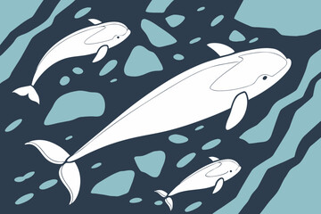 A pod of beluga whales gracefully swims through icy arctic waters surrounded by ice floes.