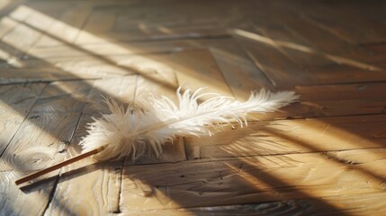 Delicate white feather on sunlit wooden floor with soft shadows