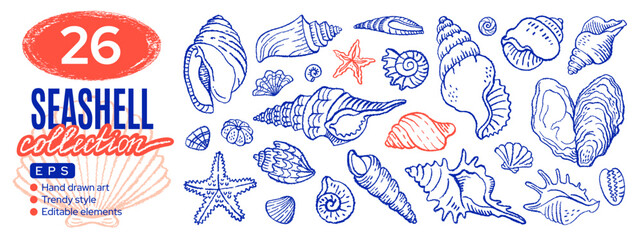 Sea shell icons. Seashell summer Mediterranean beach doodle vector. Whimsical sea starfish, shell hand drawn illustration. Seashell drawing bg. Ocean outline sketch icon set. Line marine coastal art