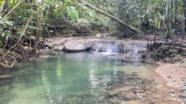 waterfall in the forest