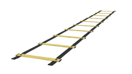 Agility ladder for speed and coordination training