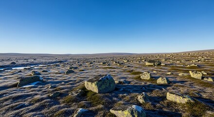 A barren landscape under a clear blue sky with scattered rocks and sparse vegetation on a cold day