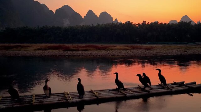 Cormorants on wooden raft in Xingping at Dusk, Yangshuo