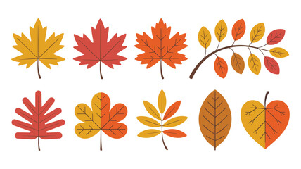 Assortment of Stylized Autumn Leaves in Warm Colors on White Background Keywords: autumn, fall, leaves, stylized, colorful, nature, foliage, botanical, design element, graphic, illustration