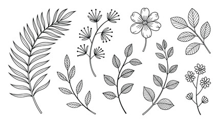Hand Drawn Black and White Botanical Elements with Leaves and Flowers on White Background Keywords: hand drawn, botanical, illustration, black and white, line art, leaves, flowers, branches, fern