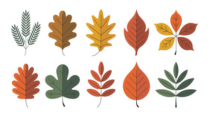 Assortment of Stylized Autumn Leaves in Various Colors and Shapes on White Background Keywords: autumn, fall, leaves, stylized, colorful, nature, foliage, botanical, design element, graphic