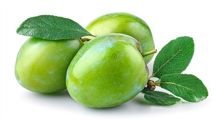 Fresh green plums with leaves on white background
