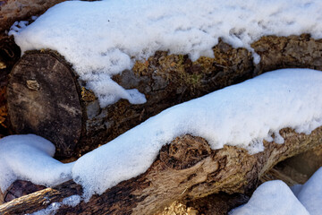 Firewood Covered with Snow in Bavaria
