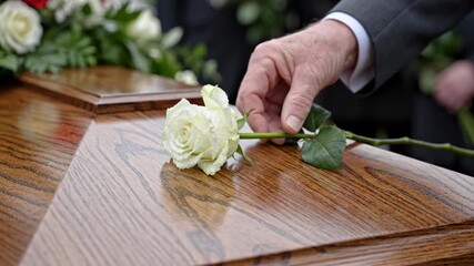 A man's hand gently places a white rose on a wooden coffin. A final farewell at a funeral ceremony. The concept of grief and remembrance