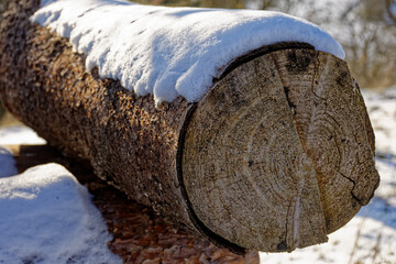 Firewood Covered with Snow in Bavaria