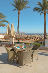 Resort restaurant terrace featuring wicker furniture, tall palm trees, and views of the beach with umbrellas and the sea under a clear blue sky.