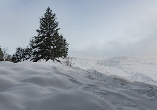 Paesaggi con la neve in appennino a fine dicembre