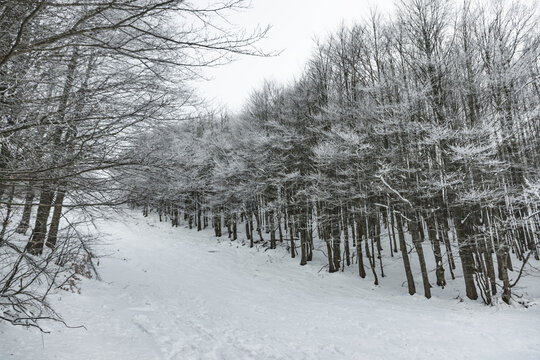Paesaggi con la neve in appennino a fine dicembre