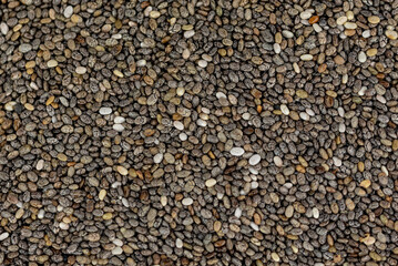 the fresh young chia seeds