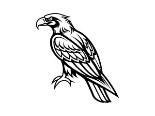 Obraz premium eagle vector illustration