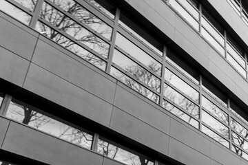 Modern building facade with sleek, reflective windows showcasing tree reflections. The minimalist design highlights urban architecture, suitable for real estate and design projects.