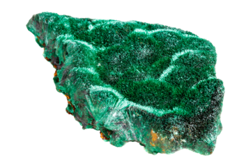 Vibrant green malachite crystal specimen with rich banding patterns isolated on white background showcasing natural mineral formation and crystalline texture