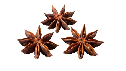 Star Anise on White Background