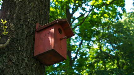 birdhouse on tree
