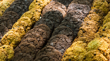 Round cookies of different colors, like the texture of food
