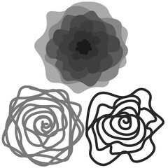 black and white roses