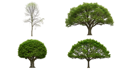 Four tree silhouettes isolated on transparent background