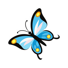 Blue Yellow Butterfly Flying Vector Illustration