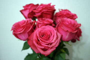 bouquet of pink roses