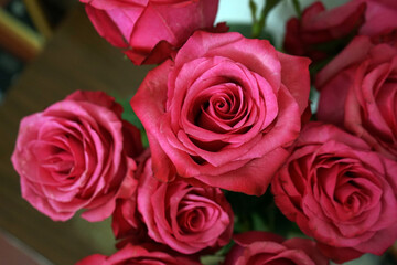 bouquet of pink roses