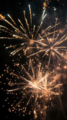 Fireworks Display In Night Sky For Celebration