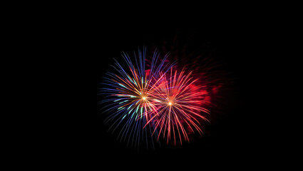 Bright Festive Fireworks On Black Background