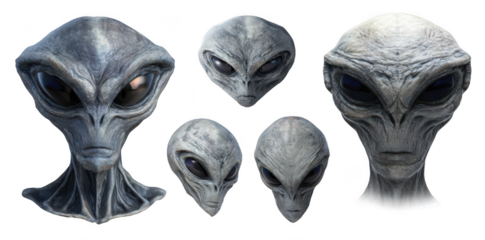 set of different gray alien heads isolated on a white background