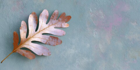 Leaf is on a blue background