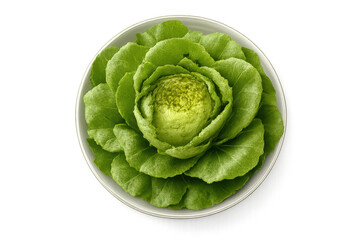 Obraz premium Fresh green butter lettuce forming a beautiful rosette in a white bowl, healthy eating and organic produce concept