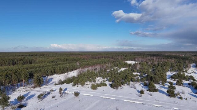 Zimowy krajobraz z drona &ndash; ośnieżony las sosnowy i pole