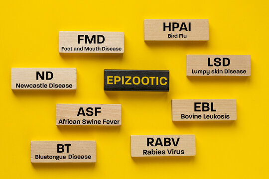 Epizootic, Epidemic diseases of livestock. Symbols and names of infectious diseases of farm animals. Alarming yellow background.