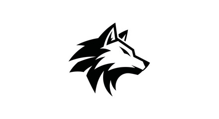 Obraz premium Adobe Illustrator Artwork