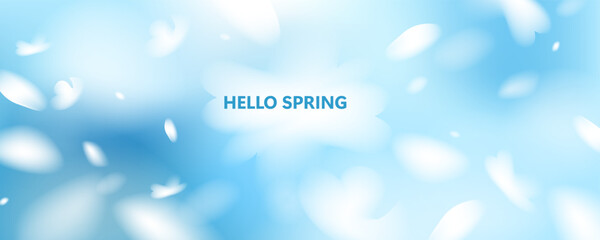 Spring soft gradient background. Flying flower petals. Gentle White flowers. Cherry blossom. Blue sky.