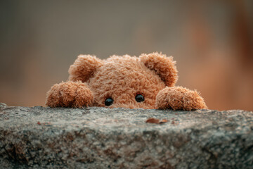Sad Brown Teddy Bear on Concrete
