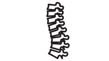 Detailed illustration of a human spine with vertebrae