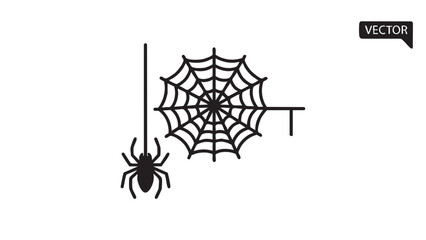 A spider descends from a corner web on a wall