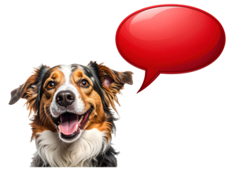 Dog with a red speech bubble isolated on white background