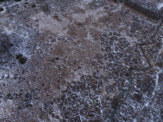 Top-Down Aerial View of a Snowy Winter Meadow and Winding Stream