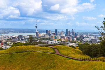 Auckland City Skyline Viewed from Mount Eden on a Sunny Day